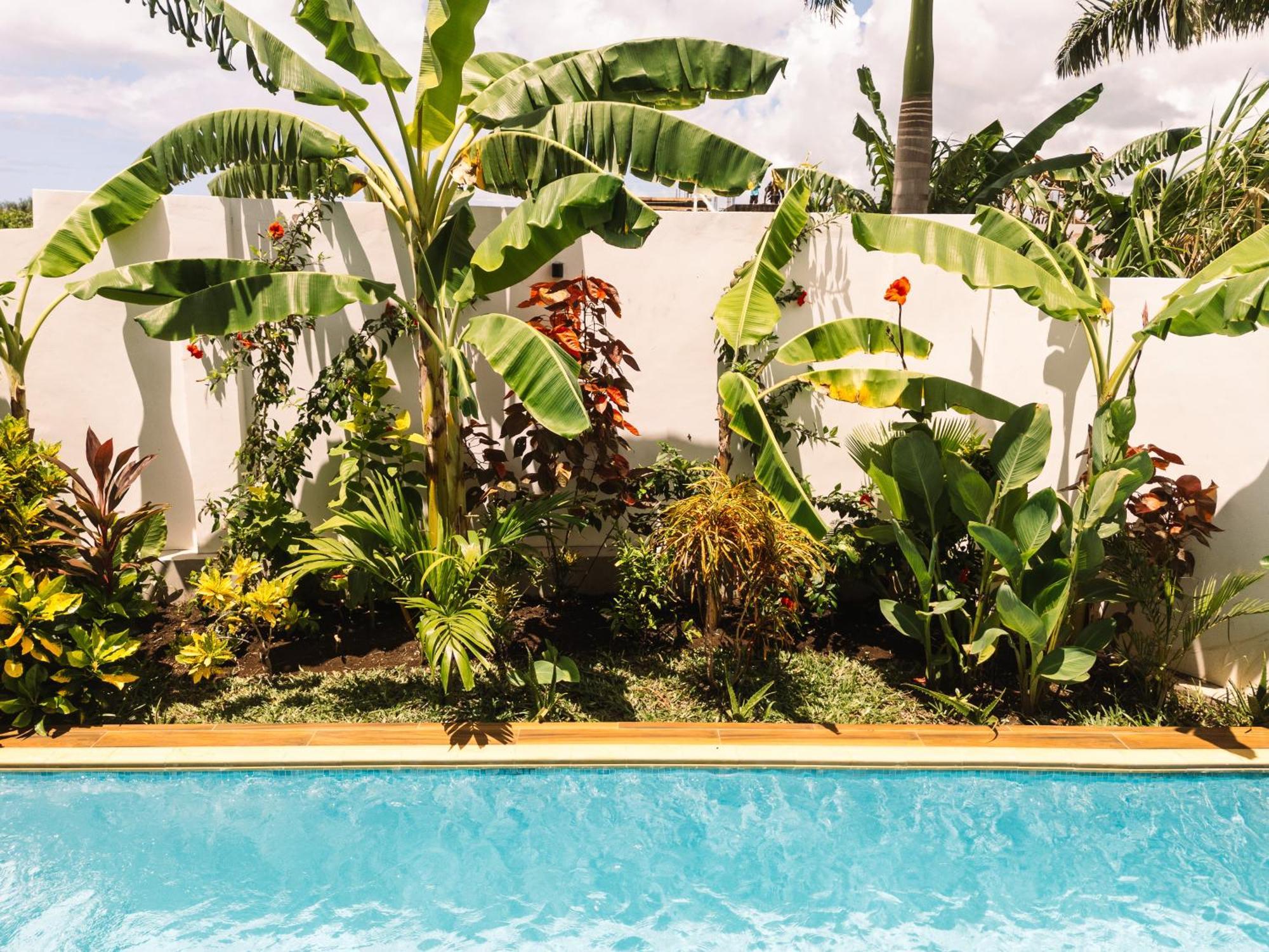 Shivo Paje Villas Exteriör bild